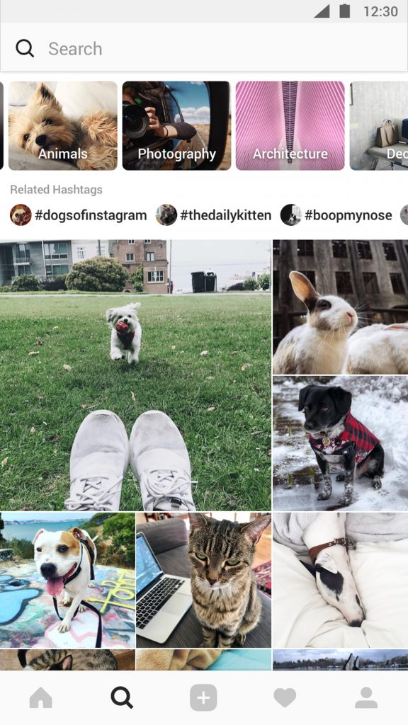 novedades de instagram explorar