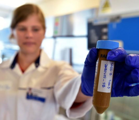 En Reino Unido médicos diagnostican a una mujer con una bacteria que le come la vagina