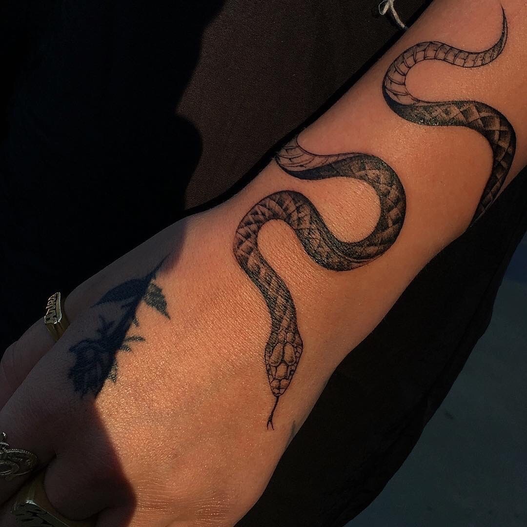 27 serpiente