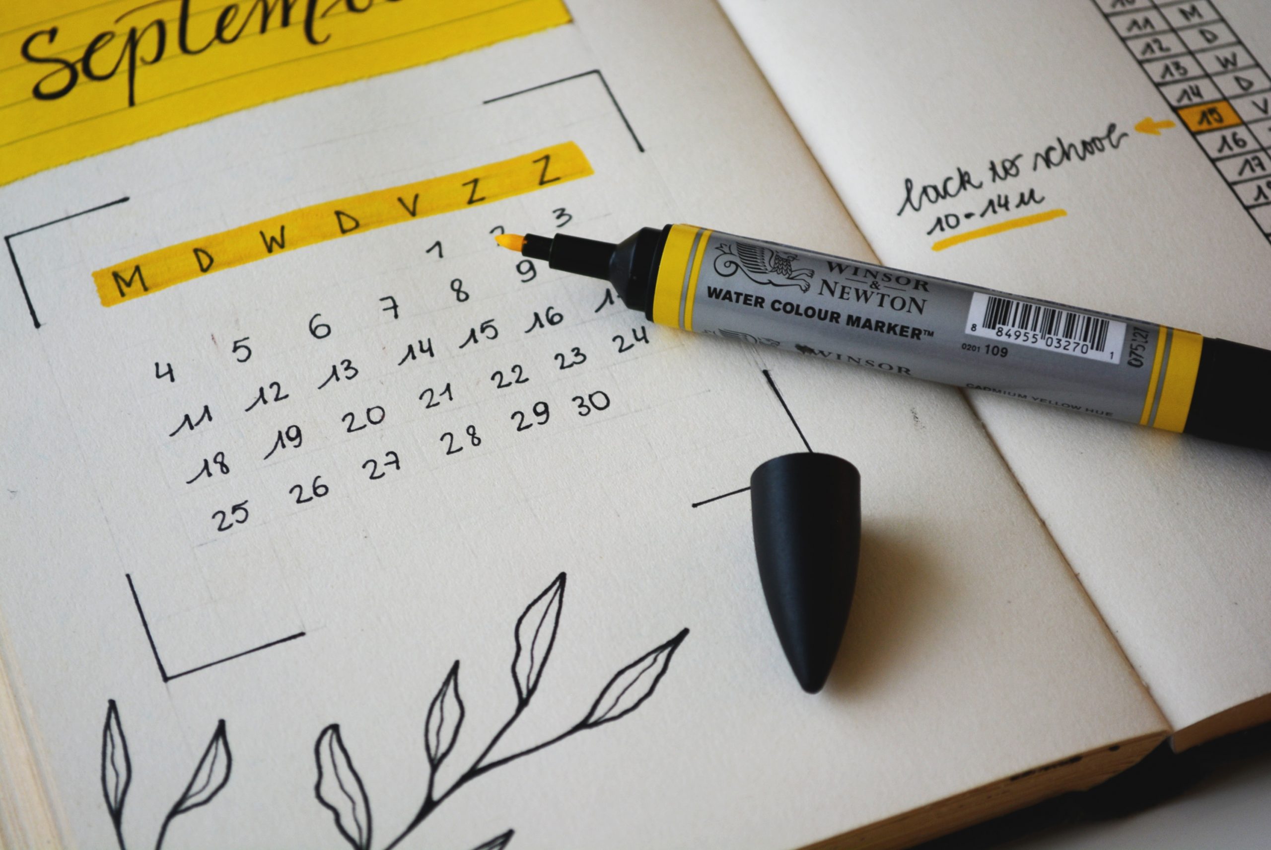 bullet journal 1